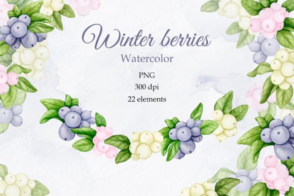 Download Winter Berries.Watercolor PNG Collection - Berries Collection