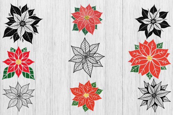 Download Poinsettia SVG Bundle, Christmas Svg - Poinsettia svg Collection