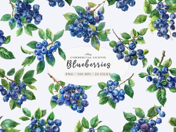 Download Berries Clip Art, Blueberry Branch Png - Berries Collection